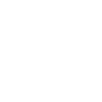 logo light